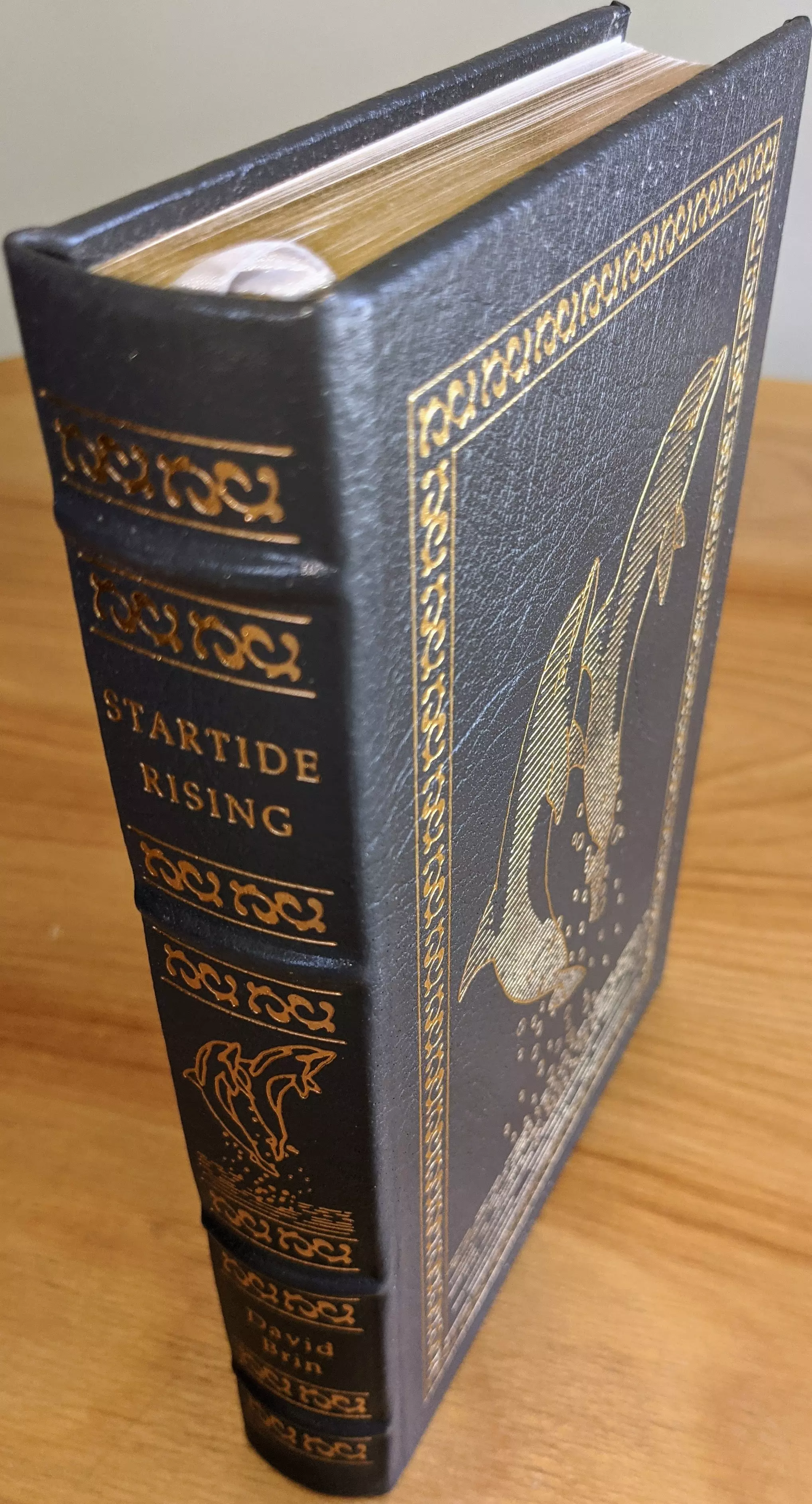 This Easton Press edition of Startide Rising by David Brin is a pristine, unread collector's volume from the Masterpieces of Science Fiction collection. It is a single-owner copy, kept in a private collection and stored in dust-free bookcases within a dry climate, ensuring preservation of its as-new condition
 - 
The book is a limited run, bound in full dark blueish-grey leather with hubbed spines and concealed muslin joints, exemplifying Easton Press's craftsmanship. The cover and spine are richly accented in 22kt gold, featuring intricate border patterns and a striking gilt illustration of two dolphins leaping above waves, symbolic of the novel's central themes 
 - 
The title STARTIDE RISING and author's name, David Brin, are stamped in gold on the spine between ornate gold bands. The pages are gilded on all edges, and the book is printed on archival-quality paper using smyth sewing for durability and longevity
 - 
Inside the front cover lies a pristine, unused Easton Press bookplate, indicating no markings or signs of handling. The artwork on the cover was created by Frank Kelly Freas, whose detailed design enhances the presentation of this exceptional volume. Introduction by Daryl F. Mallett
 - 
The overall appearance is elegant and in flawless Condition: Pristine / As New / Unread, making it a showcase-quality example of Easton Press's limited collector editions for serious science fiction bibliophiles.